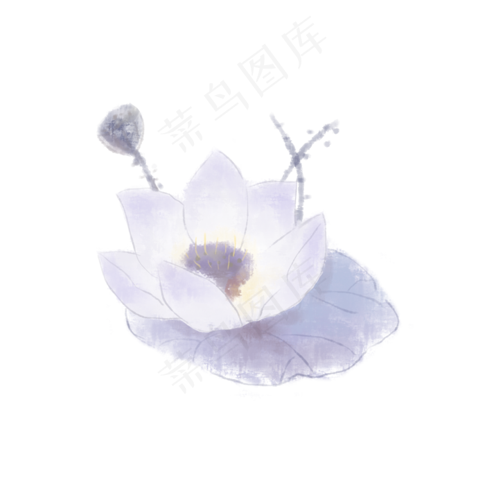 淡彩莲花淡雅雪莲(3507X3543(DPI:300))psd模版下载