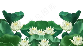 绿色荷叶荷花下载