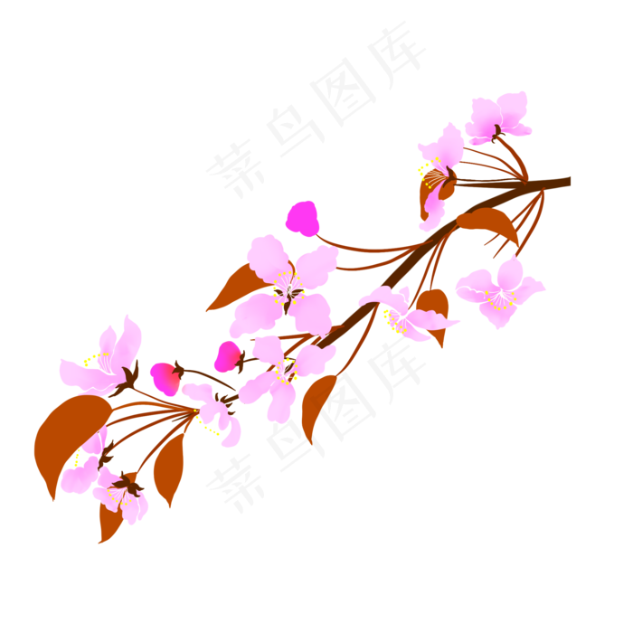 免扣卡通海棠花朵,免抠元素