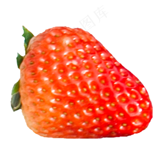 实拍田园种植红色大草莓