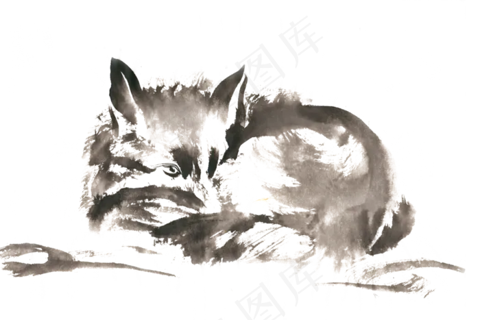蜷卧着的狐狸水墨画PNG免抠素材(3300*2200px 300 dpi )psd模版下载