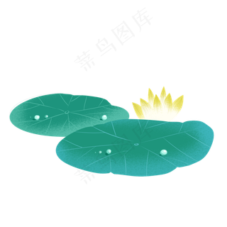 两片荷叶黄色单支荷花