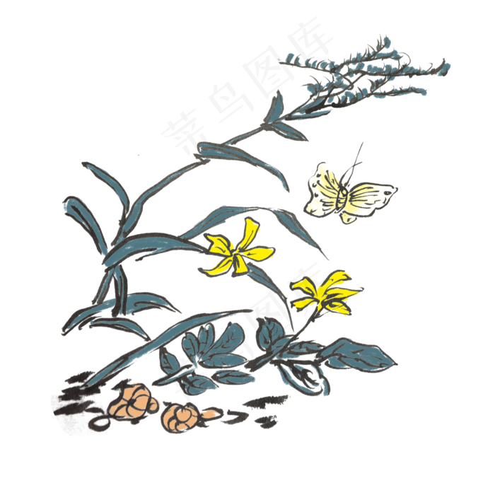 水墨水仙花手绘插画,免抠元素