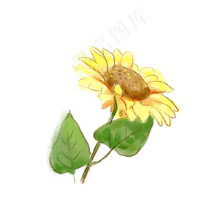 手绘水彩一枝向日葵