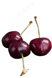 三个美味好吃的新鲜的李子png