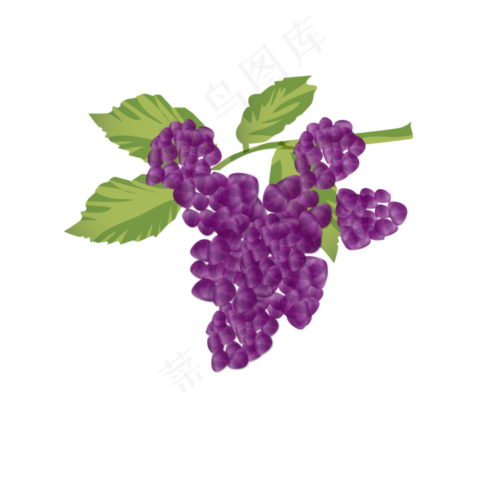 水彩风格桑葚PNG免抠(2000X2000(DPI:300))ai矢量模版下载
