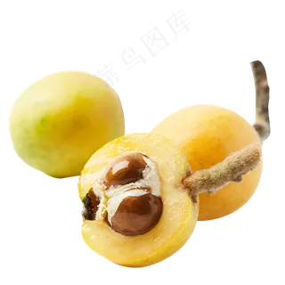 新鲜的枇杷水果免抠图
