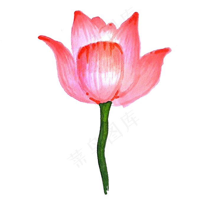 美丽动人的荷花免抠图