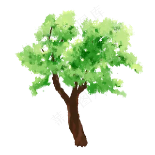 水彩大树绿色植物