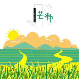 夏日炎炎芒种节气的小麦