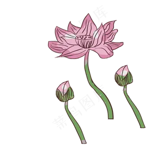 粉色水墨荷图片素材