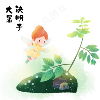 大暑决明子精灵