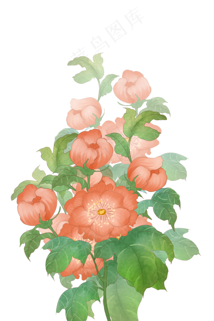 古风花红王子锦带花(1024X1536(DPI:299))psd模版下载