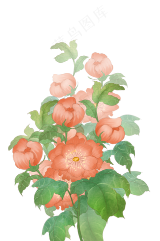 古风花红王子锦带花