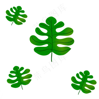 绿色植物叶子边条叶子