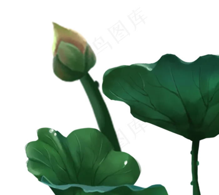 荷花荷叶(1238X1106(DPI:300))psd模版下载