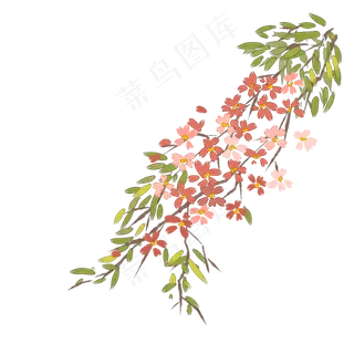 水彩中国风植物透明底免抠