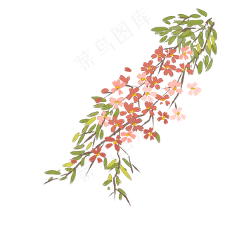 水彩中国风植物透明底免抠