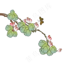 手绘花鸟,免抠元素