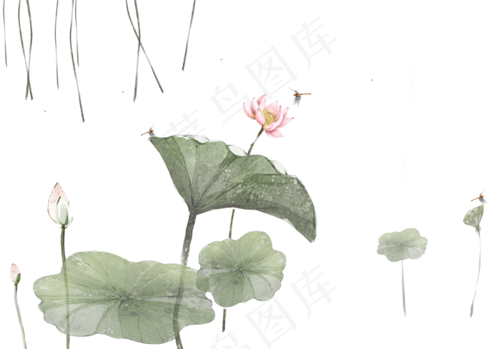 夏日荷花(2000X1398(DPI:300))psd模版下载