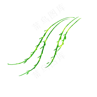 手绘柳树树叶装饰