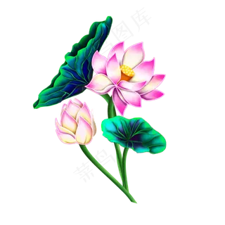 工笔画荷花荷叶鸟儿,免抠元素