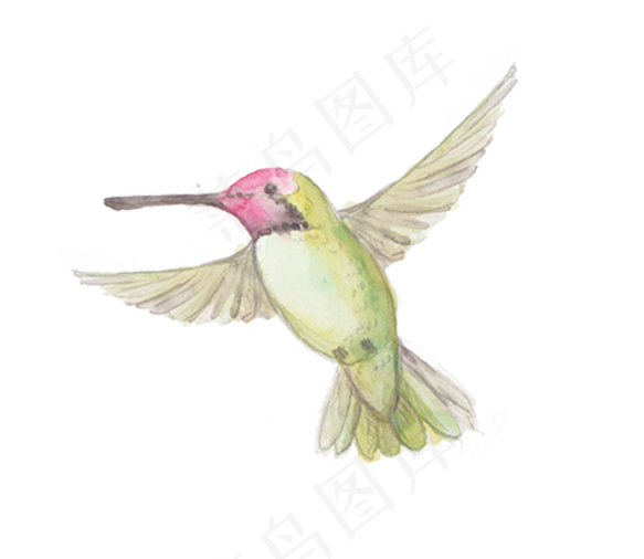 森系小清新水彩手绘卡通小鸟(3545X5315(DPI:300))psd模版下载