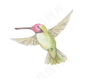 森系小清新水彩手绘卡通小鸟