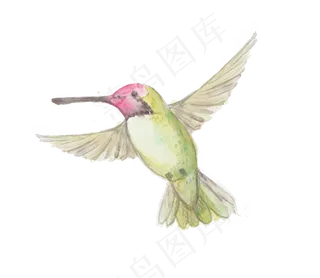 森系小清新水彩手绘卡通小鸟