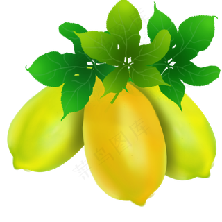 果水果瓜木瓜木瓜籽营养