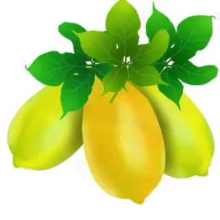 果水果瓜木瓜木瓜籽营养