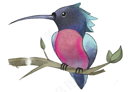水彩可爱观赏鸟类,免抠元素