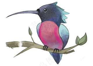 水彩可爱观赏鸟类,免抠元素