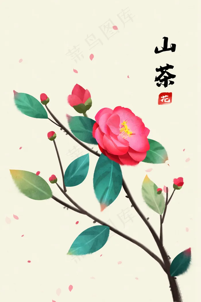 特色工笔山茶花装饰配图(3545*5315px 300 dpi )psd模版下载