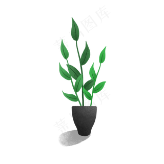 大暑室内的绿色盆栽