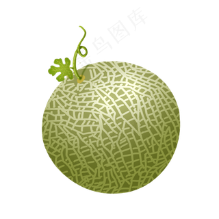 水果装饰图案结实哈密瓜