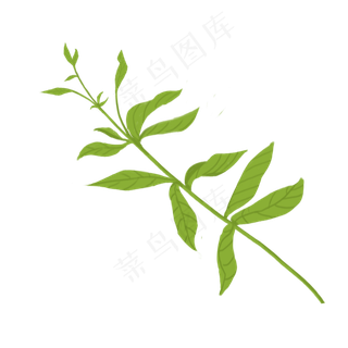 卡通绿色植物枝条