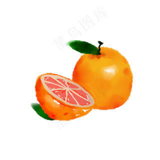 手绘水彩水果西柚