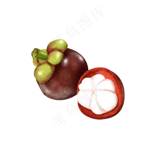 深色新鲜山竹水果果蔬写实手绘插