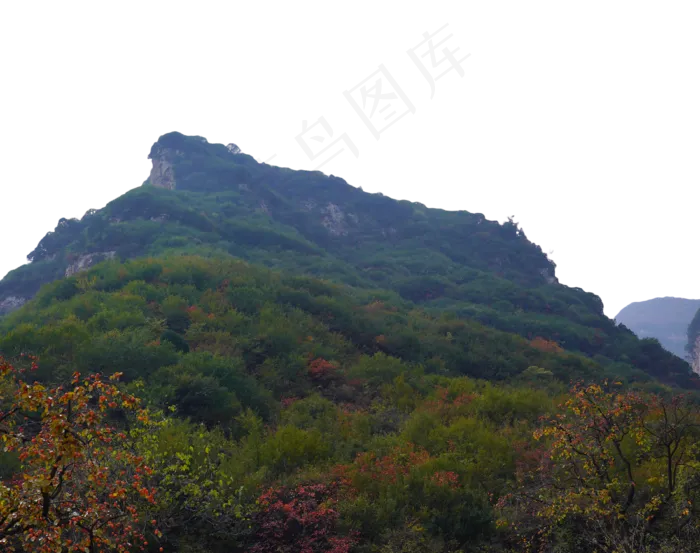 自然风景山峰柿子树,免抠元素