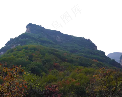 自然风景山峰柿子树,免抠元素 自然风景山峰柿子树,免抠元素