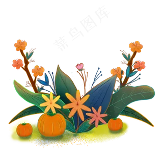 感恩节南瓜花朵手绘装饰png素材下,免抠元素