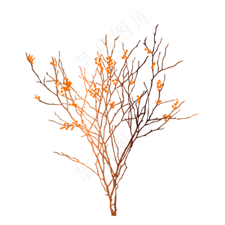 冬天树枝干花树枝