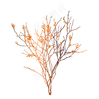 冬天树枝干花树枝 冬天树枝干花树枝