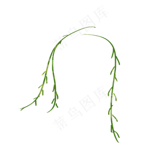 卡通装饰植物图案