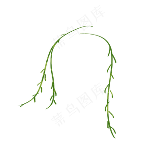 卡通装饰植物图案