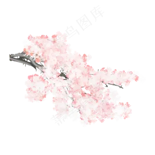 春夏樱花png素材,免抠元素