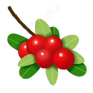 一束蔓越莓插图装饰