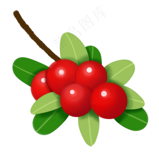 一束蔓越莓插图装饰