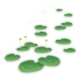 蓝色荷花叶子水藻叶子png素材